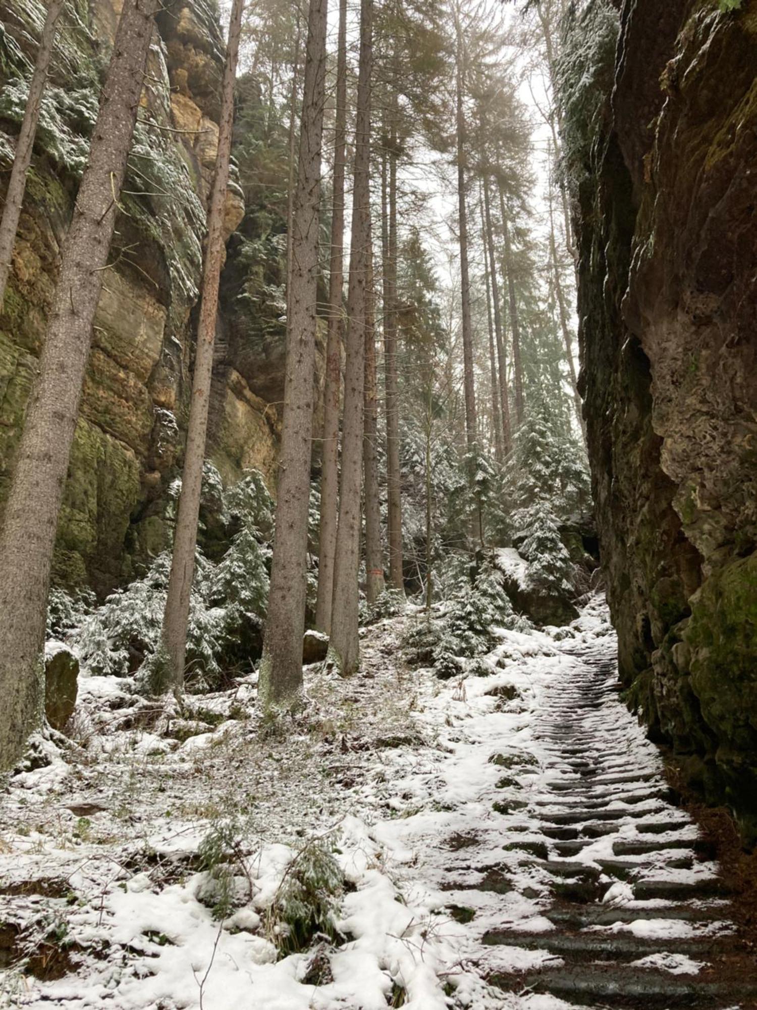 Pension Hofberg Jetřichovice エクステリア 写真